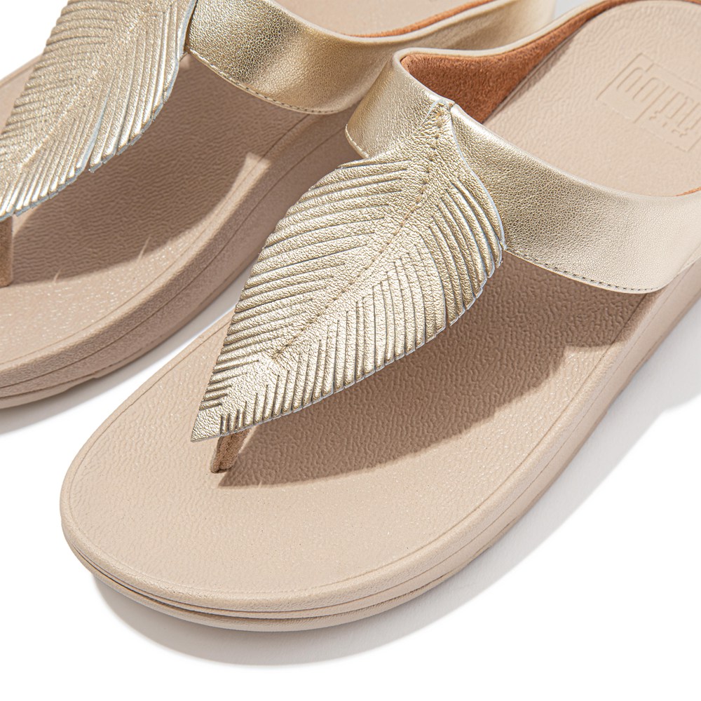 Fitflop Womens Sandals Gold - Fino Feather Metallic Toe-post - OV4086152